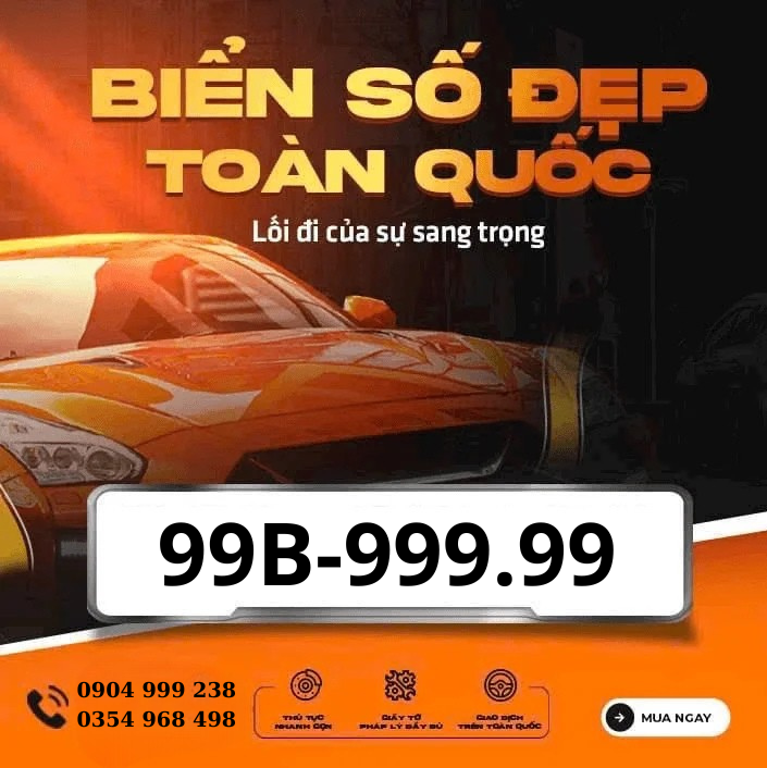 Biển số đấu giá 2